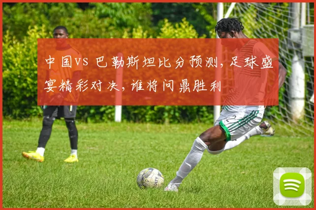 中国vs 巴勒斯坦比分预测,足球盛宴精彩对决,谁将问鼎胜利