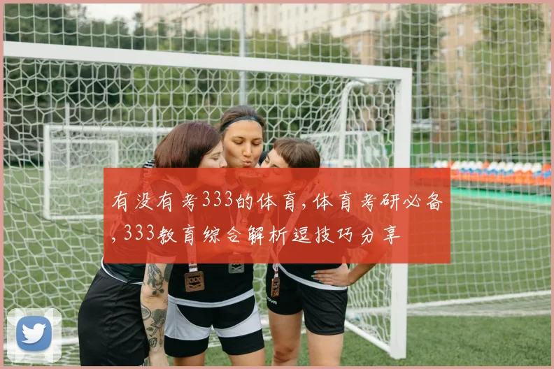 有没有考333的体育,体育考研必备,333教育综合解析逗技巧分享