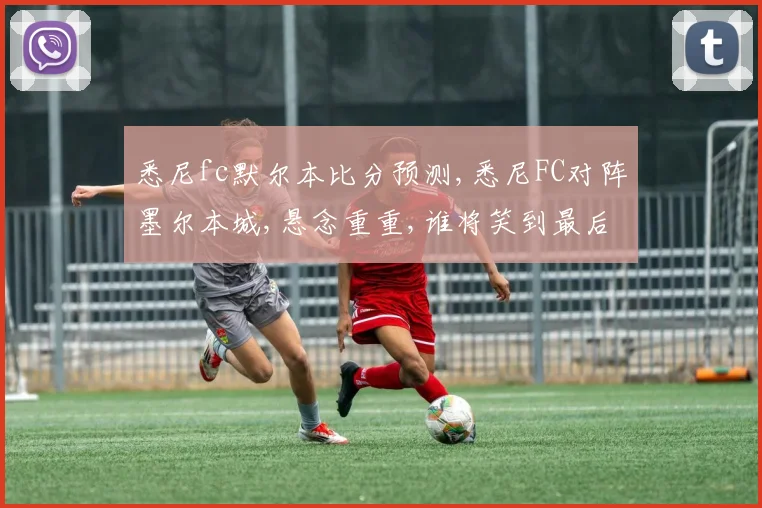 悉尼fc默尔本比分预测,悉尼FC对阵墨尔本城,悬念重重,谁将笑到最后