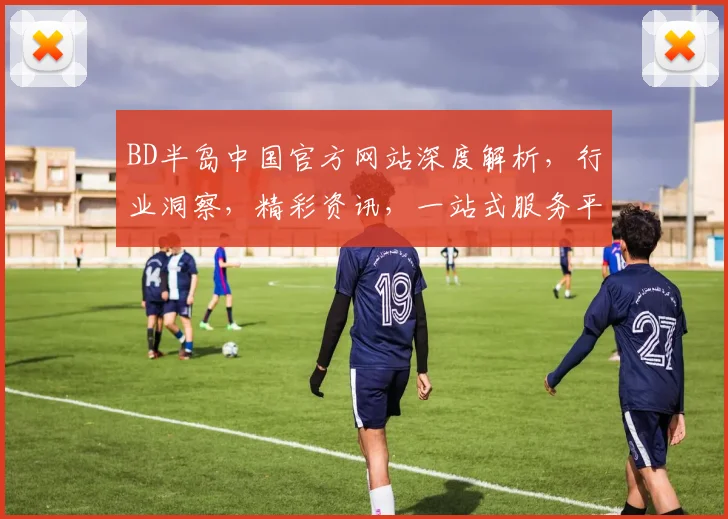 BD半岛中国官方网站深度解析，行业洞察，精彩资讯，一站式服务平台，领先行业资讯平台